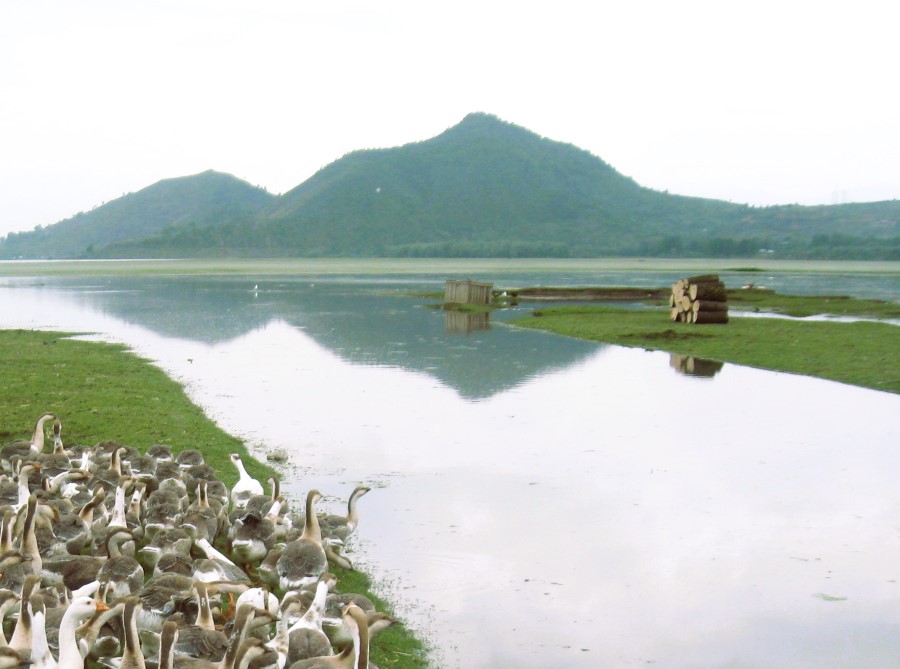   A Lanka in Kashmir!